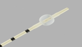 UPJ Occlusion Balloon Catheter
