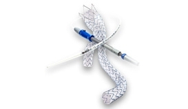 AAA Stent Graft System